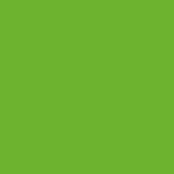Satin Apple Green S196