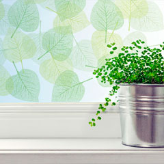 Loview WindowArt Leaves