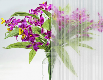 variated stripes-flower LC